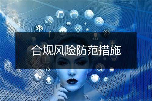 合规风险防范措施