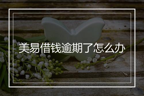 美易借钱逾期了怎么办