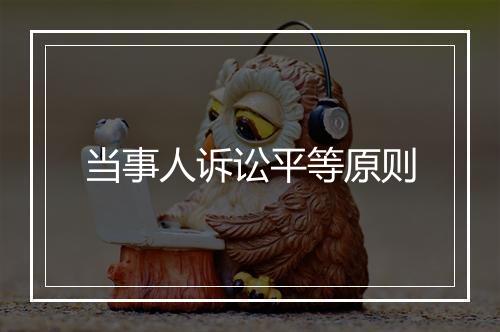 当事人诉讼平等原则