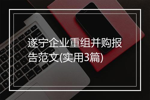 遂宁企业重组并购报告范文(实用3篇)