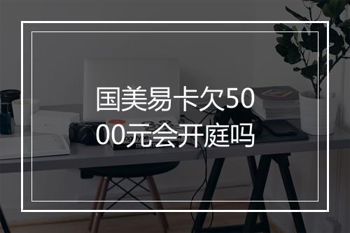 国美易卡欠5000元会开庭吗