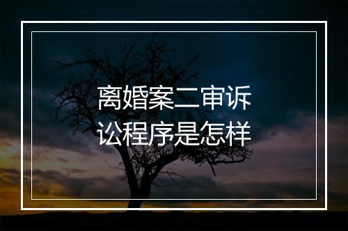 离婚案二审诉讼程序是怎样