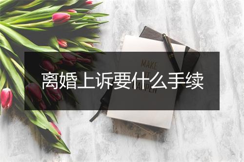 离婚上诉要什么手续