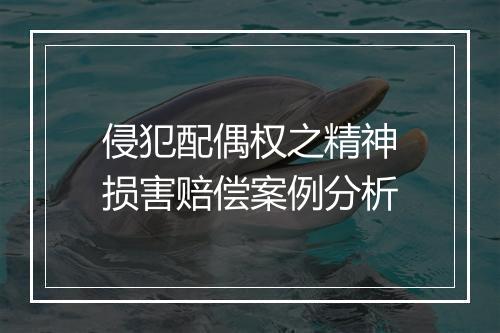 侵犯配偶权之精神损害赔偿案例分析