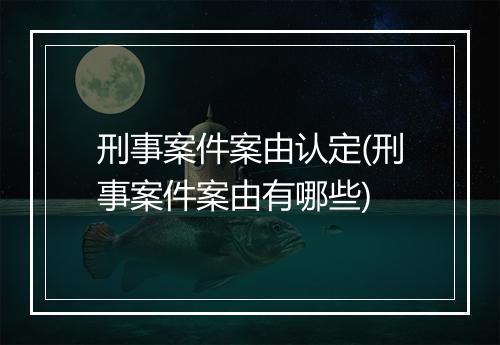 刑事案件案由认定(刑事案件案由有哪些)