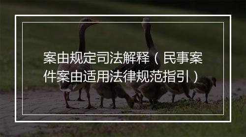 案由规定司法解释（民事案件案由适用法律规范指引）