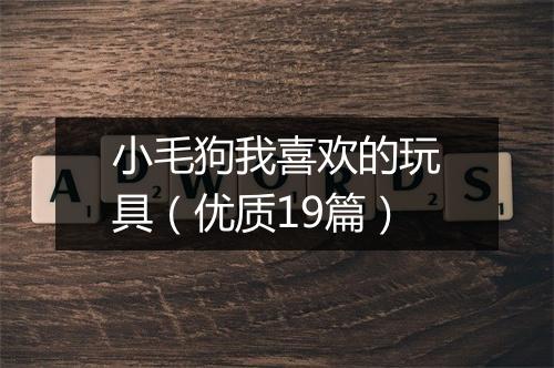 小毛狗我喜欢的玩具（优质19篇）