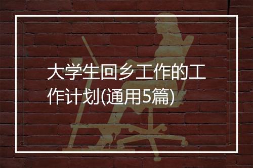 大学生回乡工作的工作计划(通用5篇)