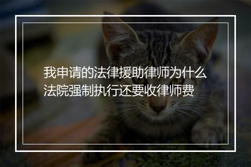 我申请的法律援助律师为什么法院强制执行还要收律师费