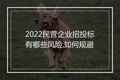 2022民营企业招投标有哪些风险,如何规避