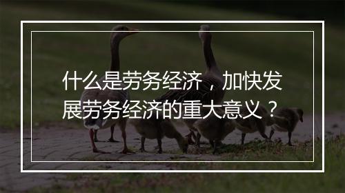 什么是劳务经济，加快发展劳务经济的重大意义？