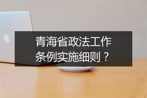 青海省政法工作条例实施细则？