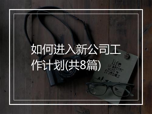 如何进入新公司工作计划(共8篇)