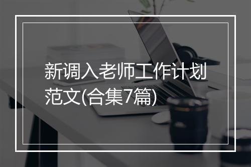 新调入老师工作计划范文(合集7篇)
