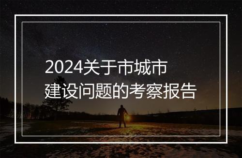 2024关于市城市建设问题的考察报告