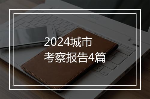 2024城市考察报告4篇