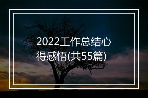 2022工作总结心得感悟(共55篇)