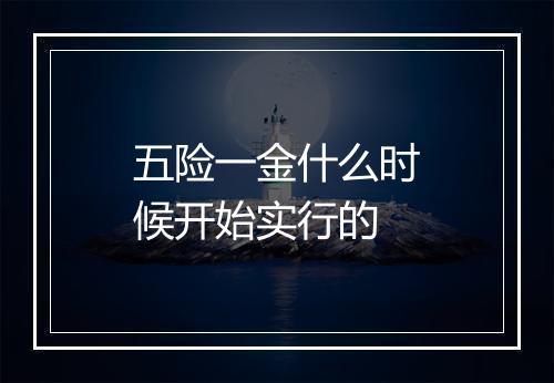 五险一金什么时候开始实行的