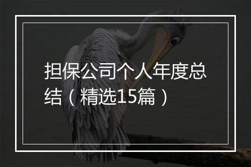 担保公司个人年度总结（精选15篇）