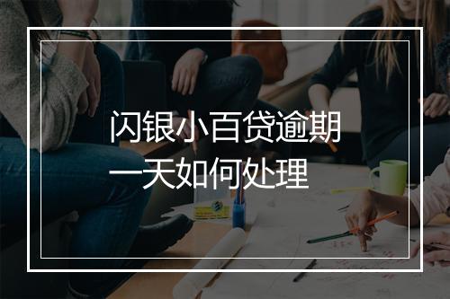 闪银小百贷逾期一天如何处理
