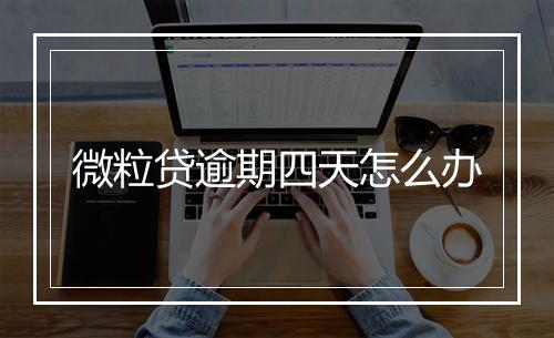 微粒贷逾期四天怎么办