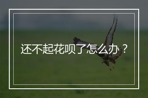 还不起花呗了怎么办？