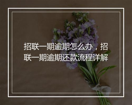 招联一期逾期怎么办，招联一期逾期还款流程详解