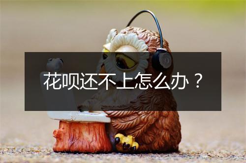 花呗还不上怎么办？
