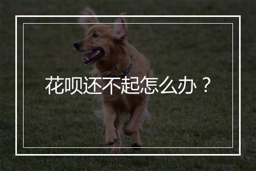 花呗还不起怎么办？