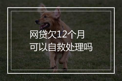 网贷欠12个月可以自救处理吗