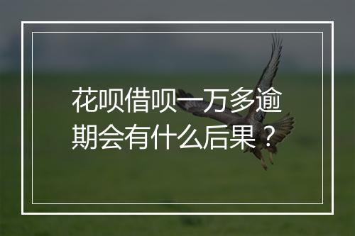 花呗借呗一万多逾期会有什么后果？