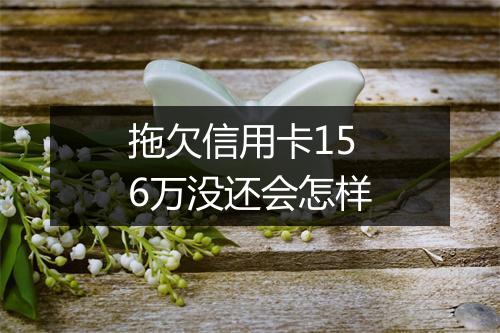 拖欠信用卡156万没还会怎样