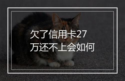 欠了信用卡27万还不上会如何