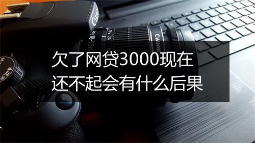欠了网贷3000现在还不起会有什么后果