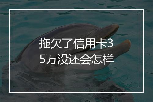 拖欠了信用卡35万没还会怎样