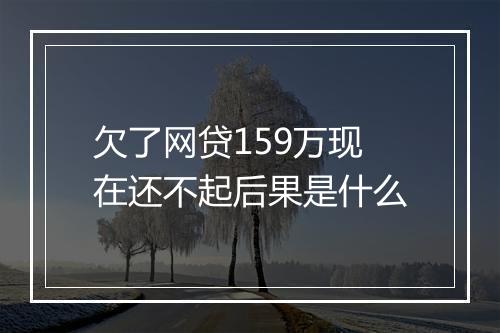 欠了网贷159万现在还不起后果是什么