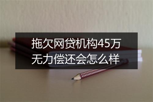 拖欠网贷机构45万无力偿还会怎么样