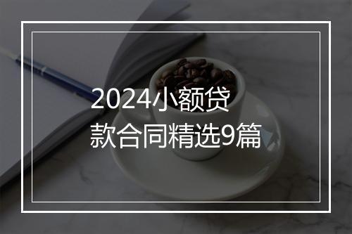 2024小额贷款合同精选9篇