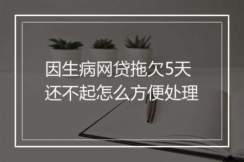 因生病网贷拖欠5天还不起怎么方便处理