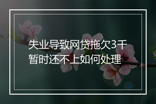 失业导致网贷拖欠3千暂时还不上如何处理