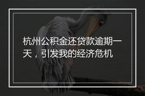 杭州公积金还贷款逾期一天，引发我的经济危机