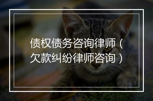 债权债务咨询律师（欠款纠纷律师咨询）