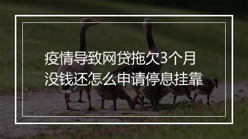 疫情导致网贷拖欠3个月没钱还怎么申请停息挂靠