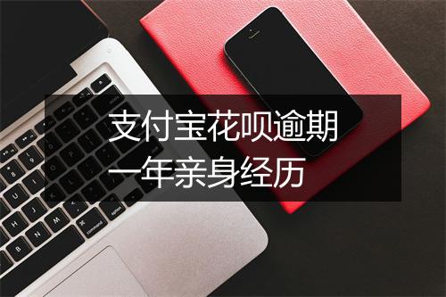 支付宝花呗逾期一年亲身经历