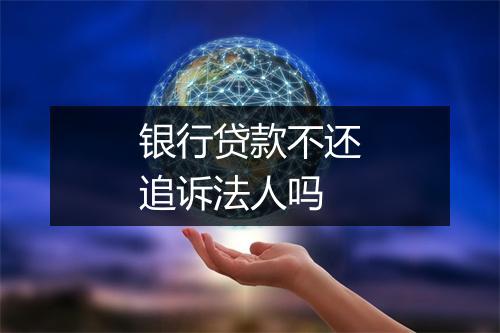 银行贷款不还追诉法人吗