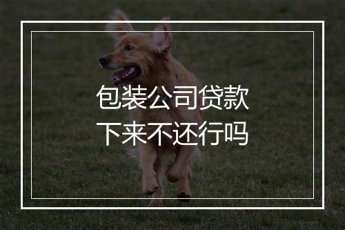 包装公司贷款下来不还行吗