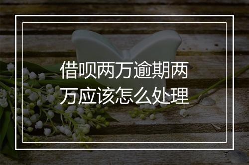 借呗两万逾期两万应该怎么处理