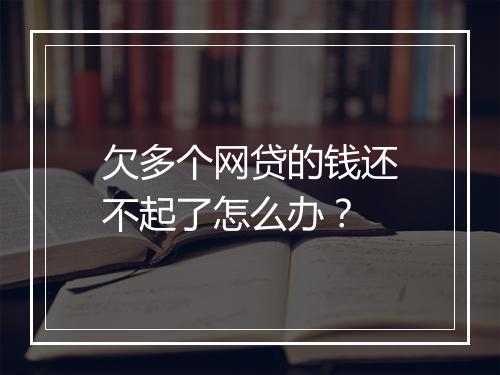 欠多个网贷的钱还不起了怎么办？
