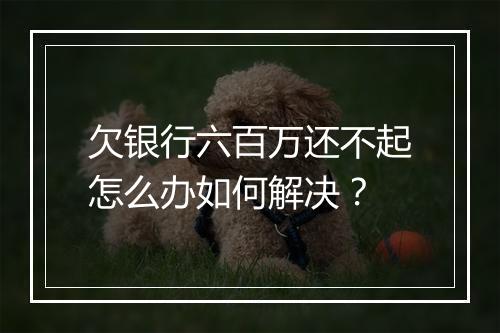 欠银行六百万还不起怎么办如何解决？