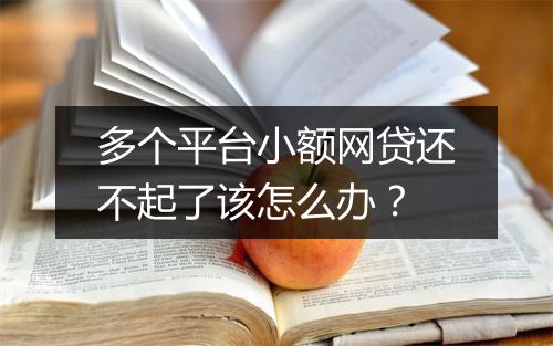 多个平台小额网贷还不起了该怎么办？